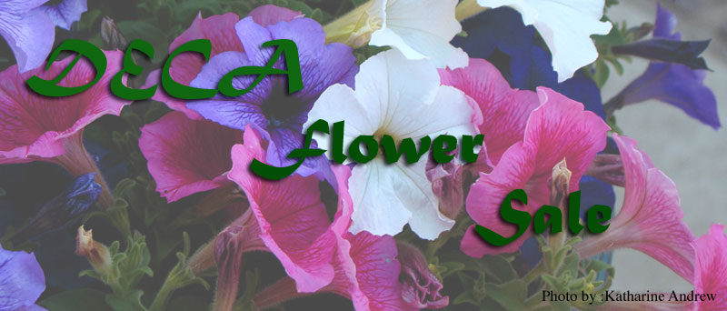 Spring into action with DECAs flower sale