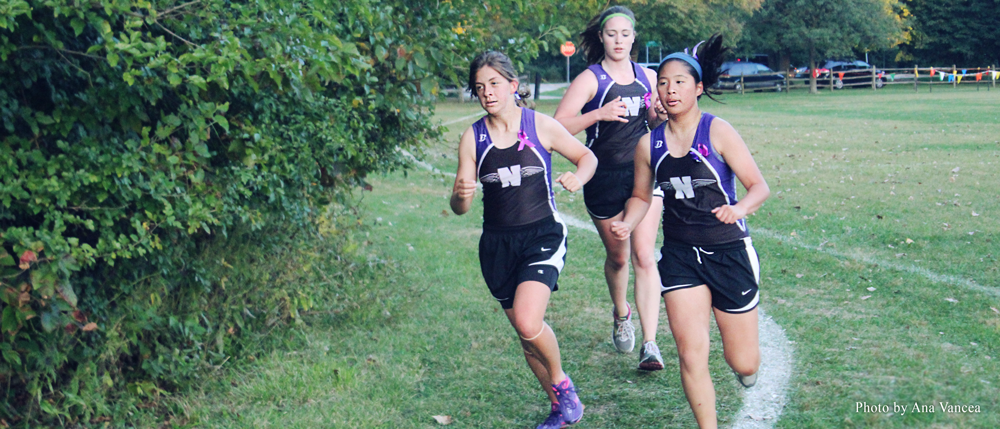 Girls cross country dominate their major invitationals