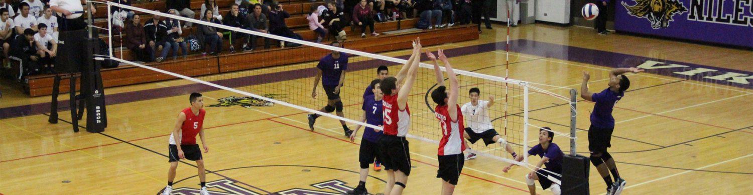 Vikings fall to Wolves in volleyball home opener