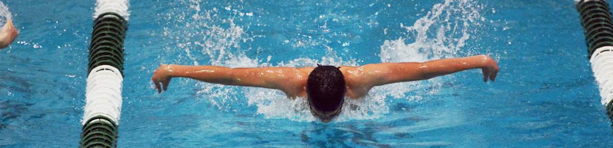 Boys Swimming successfully dive into season