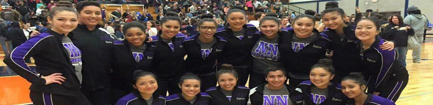 Vikettes dance their hearts out in IHSA sectionals