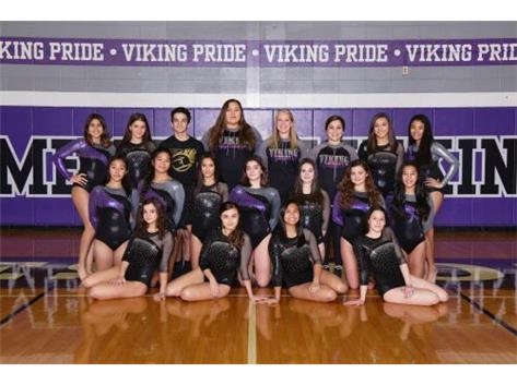 Niles North Girls Gymnastics