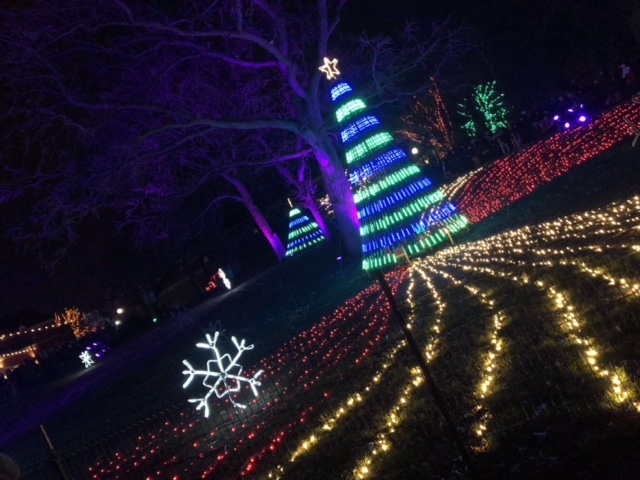 Light display at Lincoln Park Zoo lights 

