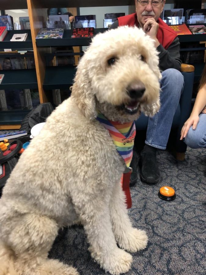 Rainbow Animal Assisted Therapy visited students in the Library on Dec. 16.