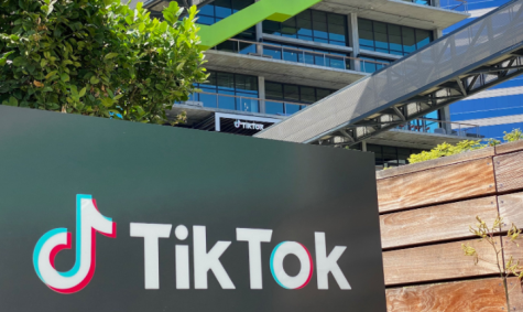 TikTok Trouble: Social media giant reels from international scrutiny