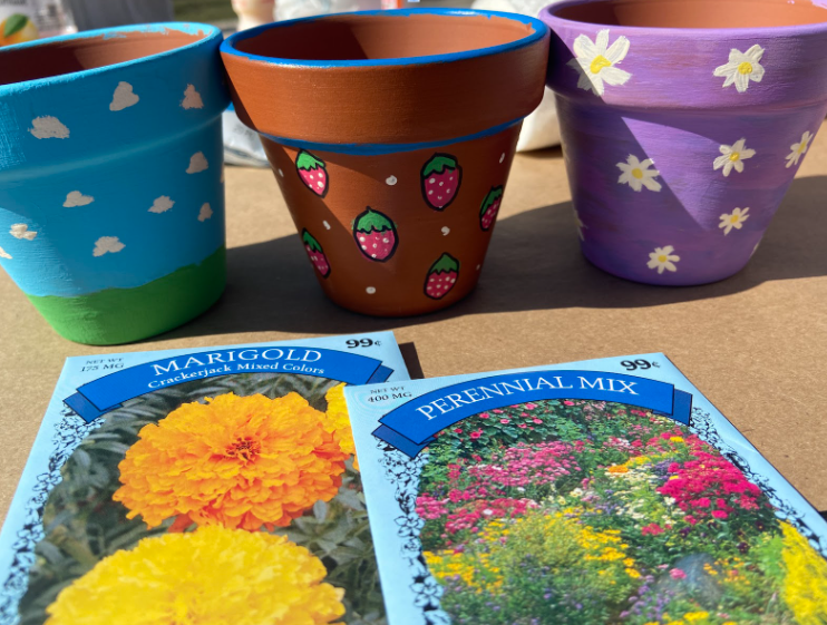 The flower pots that we painted at the park.