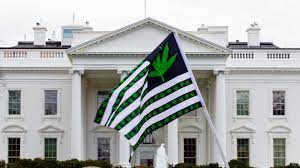 On Oct. 6., Pres. Biden pardoned minor marijuana possession offenses resulting in about 6,500 people to be released from prison. 