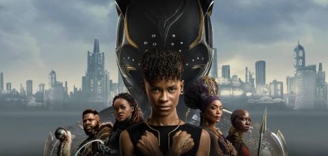 Black Panther: Wakanda Forever hit theaters on November 11th.