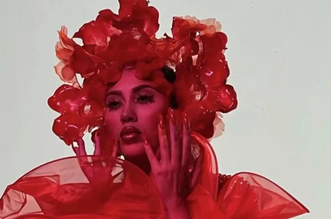 Kali Uchis is pictured striking a pose in her MV for I Wish You Roses, paying an homage to the movie American Beauty (1999).