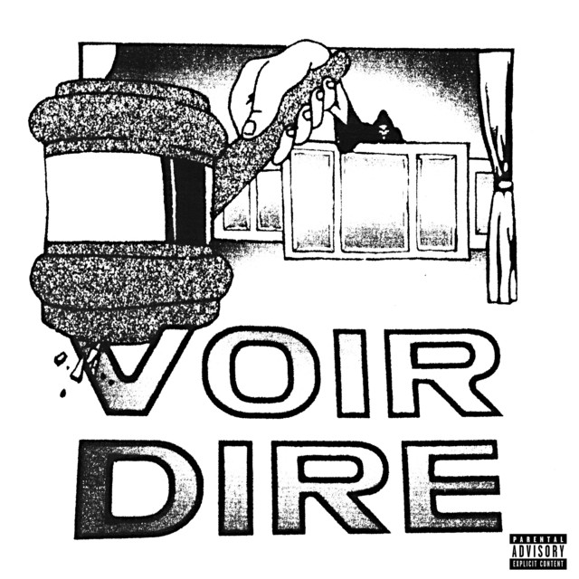 The album cover for the album Voir Dire.