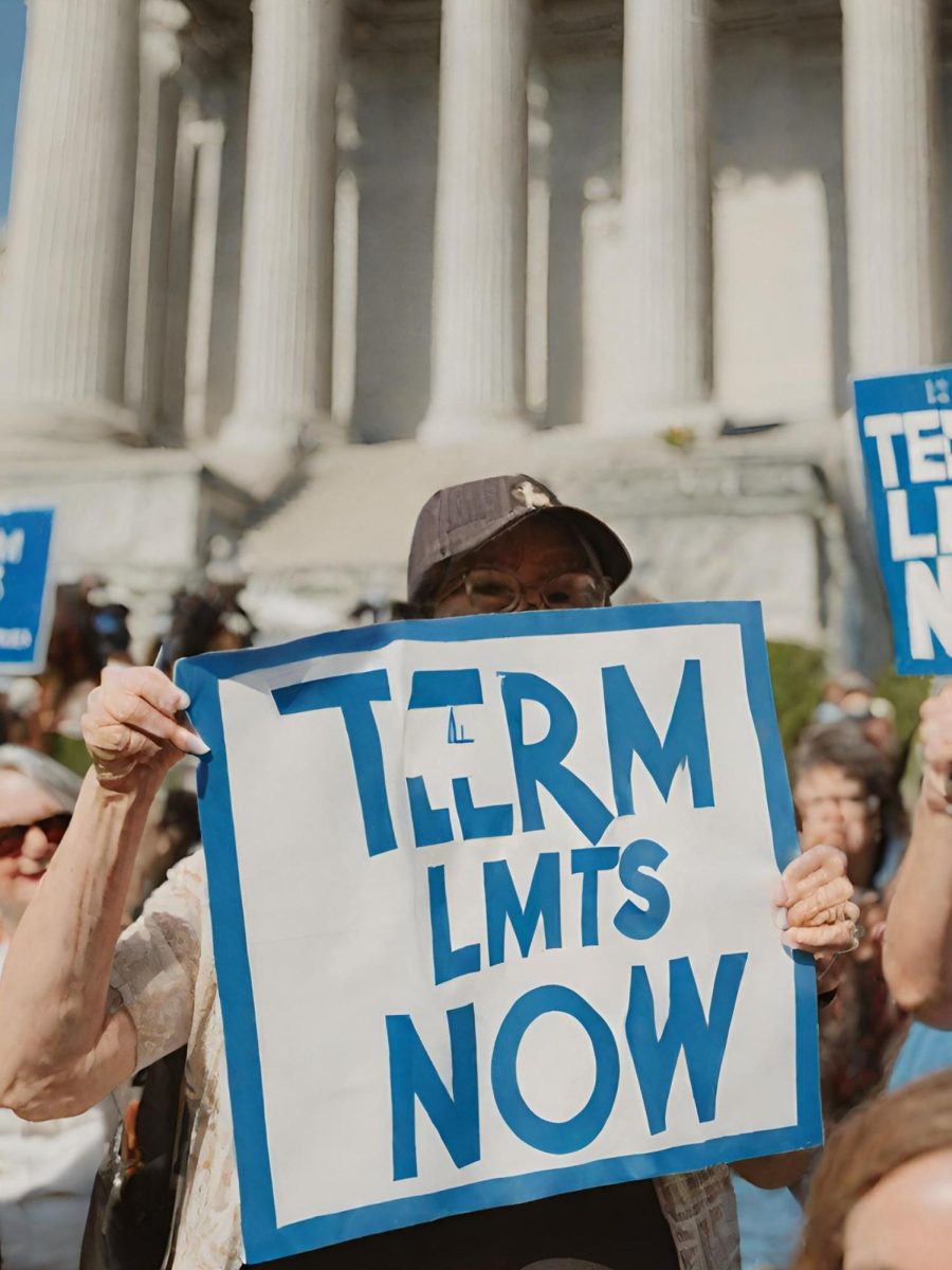 Image of protesters in DC for congress to have term limits.