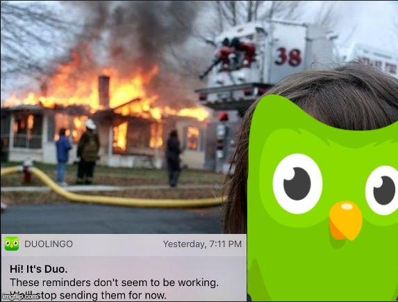 Meme portraying Duolingos recent shortcomings