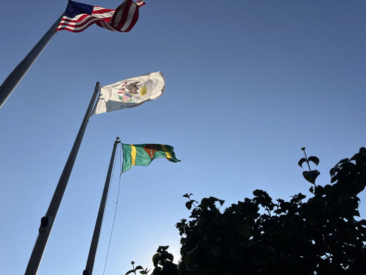 The Illinois flag flies outside Skokie Village Hall, alongside the United States and Skokie flags.