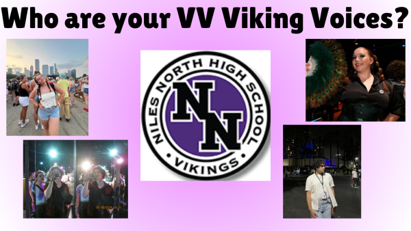 Look out for these 4 special Vikings at all-school events.