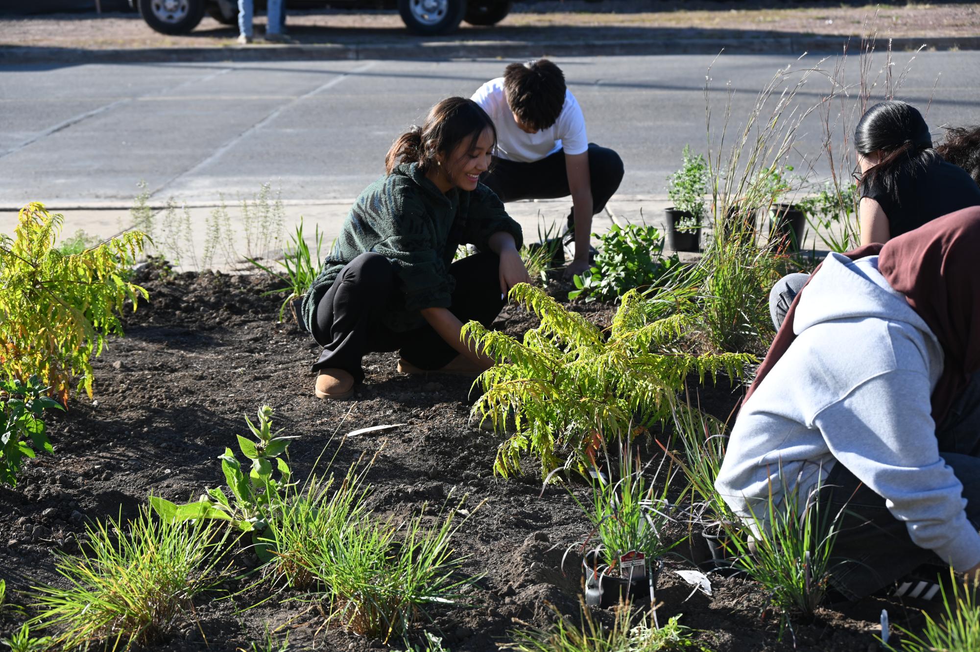 WHO club assisted Climate Change Club with adding plants to the garden.