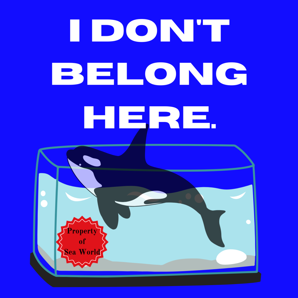 Think twice before visiting SeaWorld due to ethical concerns