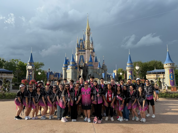 Niles North's DECA chapter at Magic Kindom.