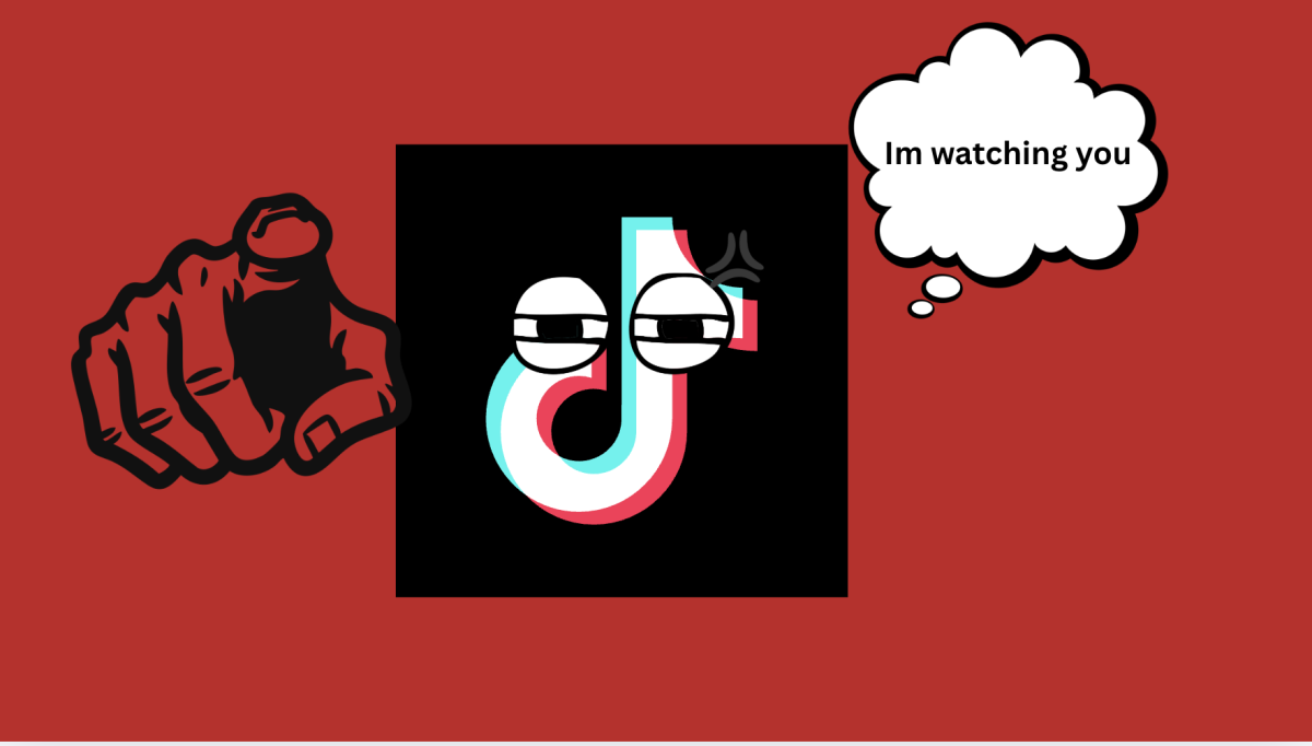 New Tiktok privacy policies create fear amongst americans